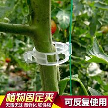 �̶��A�������߲˹Ϲ����t������ֲ��A���Ͻ����A���ѭh��ȫ����