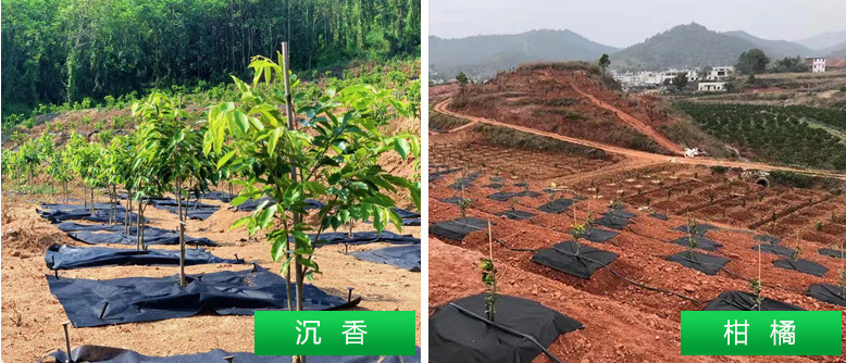 微信图片_20241230104024