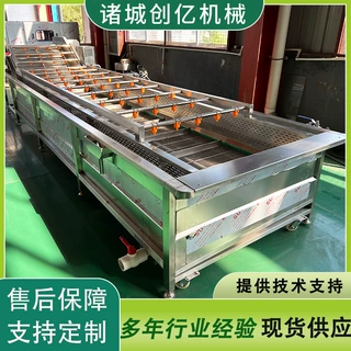高压气泡果蔬清洗机 水果翻转清洗设备 梅菜清洗加工流水线