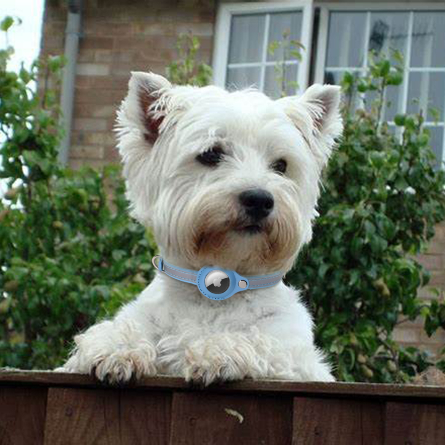 Compatible With Apple Airtag Tracker Pet Locator Collar display picture 2