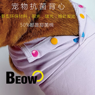 BEOW �����ļ����� ����ҹ�ⱳ��С �� ����Ȯ�����·�