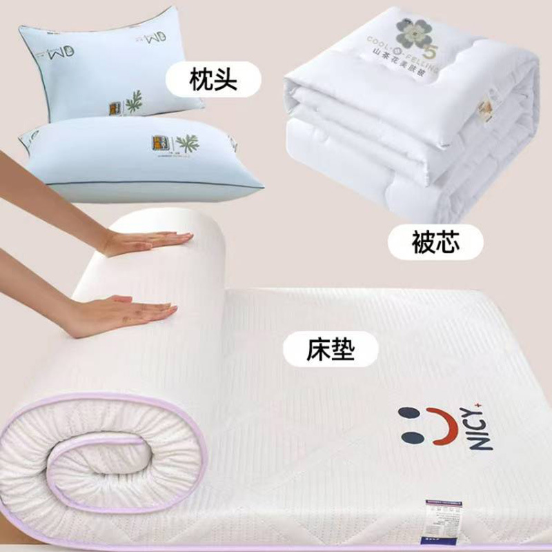 대학생 기숙사 싱글 이불심 매트리스 3종 세트 침실 침구 세트 베개심 세트