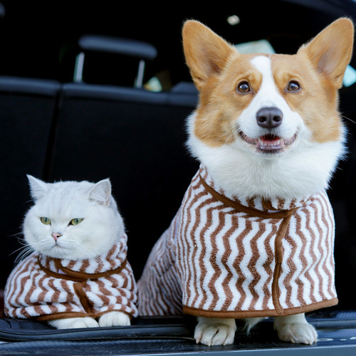 Pet it microfiber absorbent pet bathrobe towel printed quick-drying cat and dog bath towel cross-border supply wholesale