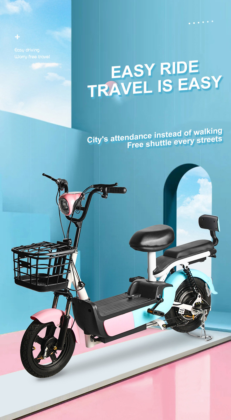 Custom Electric Bicycle, New National Standard, 48V 60V