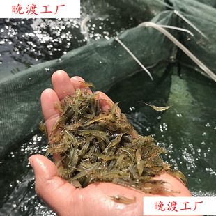 �^�p�r���l�ښ��r�׳����r��ˮ���坍�rˮ�����쾰�~�׹����r
