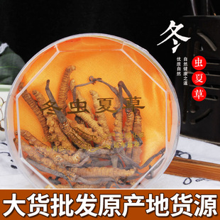 ��؛һ��؛Դ���x����ɢ�b���x�Ĳ����l2�l/�˟o��ӗl �x��