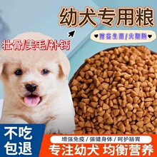 狗粮小型犬幼犬奶糕狗粮泰迪拉布拉多金毛土狗比熊幼崽通用型厂家