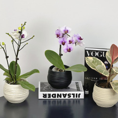 Irregular Pattern Ceramic Planter with Ins Style Round Ceramic Pot, Pothos and Orchid Artificial Flowers Indoor Art Decor