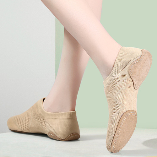 Dance Shoes for Flower Ball Cheerleading Competition, Training Shoes, Female Soft Sole Practice Shoes, Ballet Jazz Shoes, Aerobics Shoes