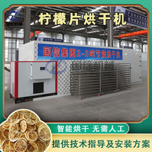 空气能柠檬片烘干机 柠檬水果清洗切片烘干生产线 柠檬干烘干设备