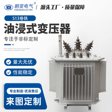 �i׃늚� 20KV�ͽ�ʽ׃����S11-M-2500KVA׃��������׃�������