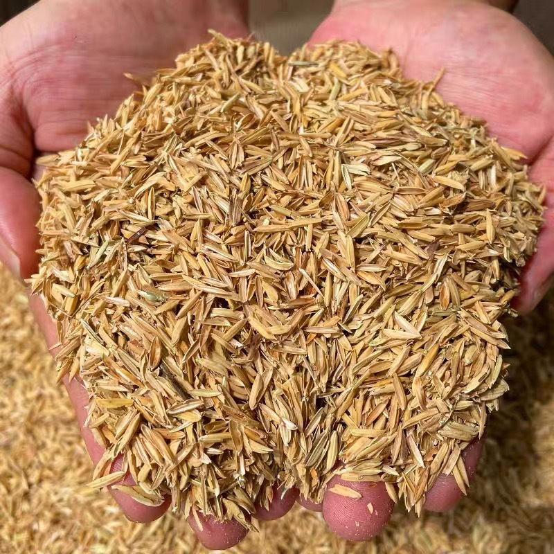 [녹색식물용 만능, 항균, 방충] 동북미세체신선쌀겨 10kg★★