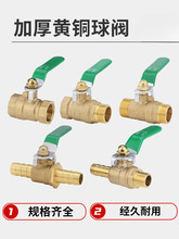 �~���y�S�~ˮ�y�_�P2��3��4��6��8��1��/DN20253240���������ݼy