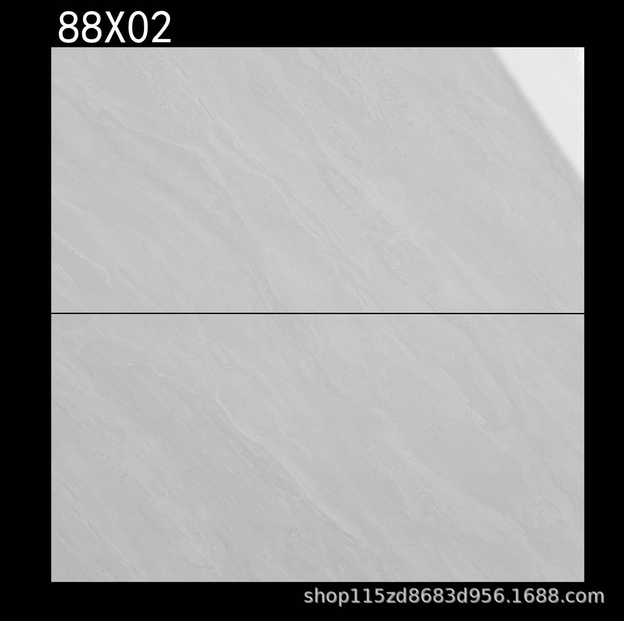 88X02