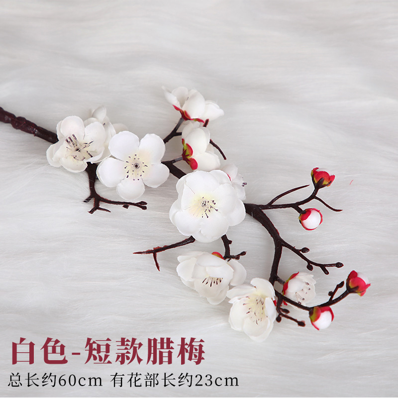 짧은 흰색 윈터스윗