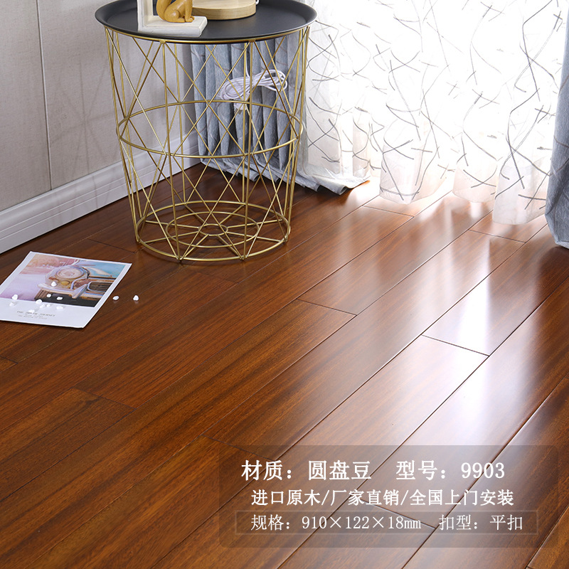 연한 갈색 원형 콩 9903