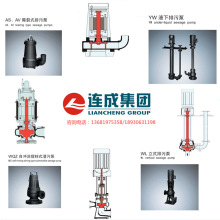 【上海连成水泵】100WL 80-10-4立式排污泵管道污水提升泵 干式泵