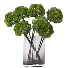 ����Gֲ�˻����m���� ����ֲ��ٻ����滨 ����ҾӔ[��ֱ��