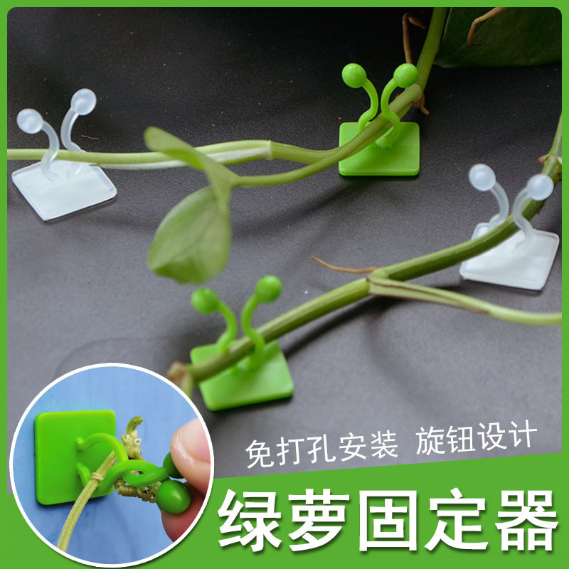 绿萝爬墙上花器绿植固定器绿箩家用无痕卡扣绿枝爬藤杆夹子室内|undefined