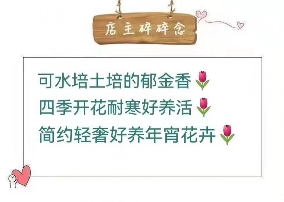 0e9431e4-1efc-4874-bdf2-1a9b2c108d14.jpe