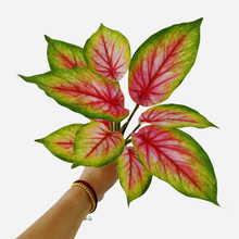 10�~�����~�b��f�������G�}�����~ˮ�����T�����~��ֲ���b�