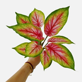 仿真盆栽;仿真花;仿真绿植