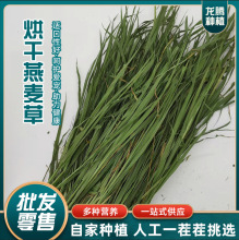 Ʒ�|���������� ���Ӳ���؈���m�i�üZ���� �����ݸɲݴ��l