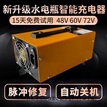 电动三轮车水电瓶充电器48v60v120ah72V自动关机只能充电器其它