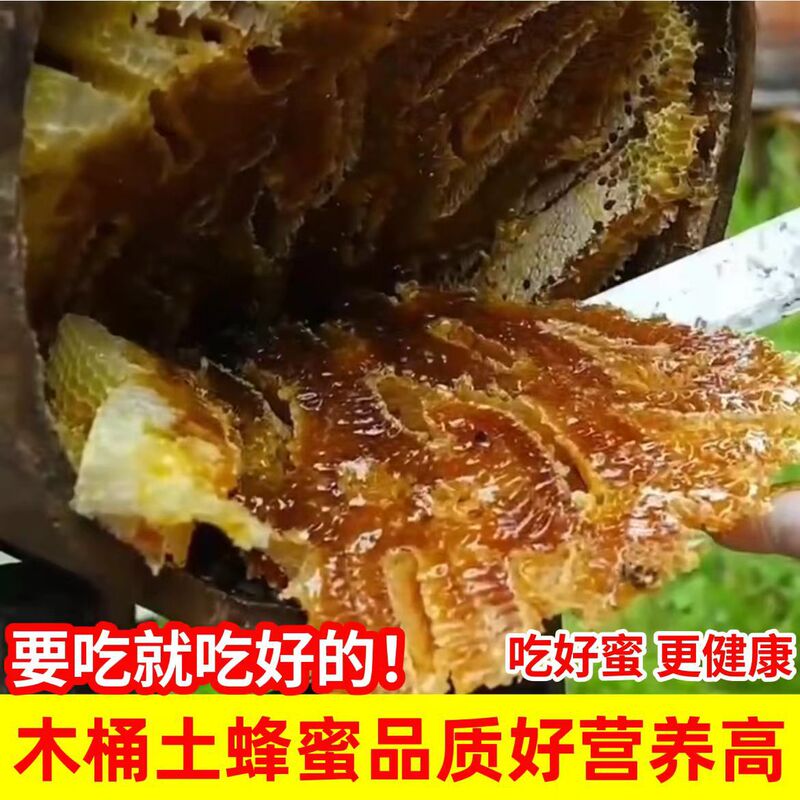 Hand-pressed natural honey from Longshan, Loudi, made from gallnut