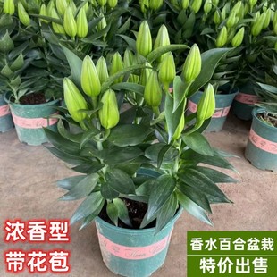 ��ˮ�ٺϻ����Է����������_��������ζ�ذ�ͥԺ�҃ȿ͏d�����^��