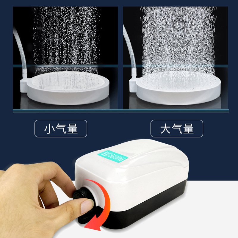 565712b6-b9f9-4dcb-a0d2-5e280ef7288a.jpe