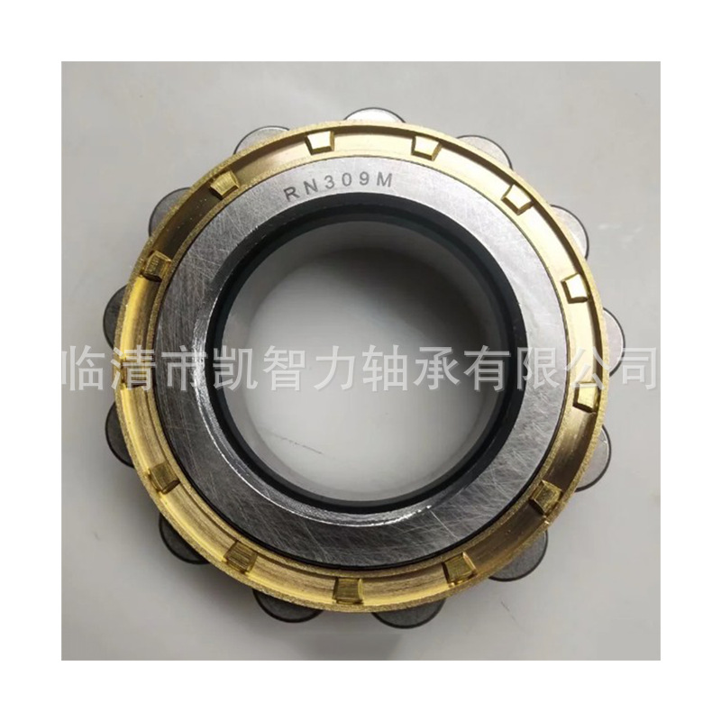 无外圈RN204M RN205 RN206E 207 208 209圆柱滚子轴承减速机