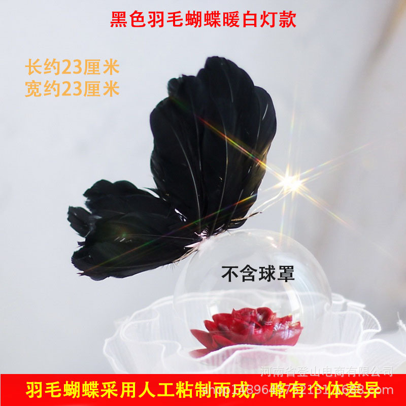 黑色羽毛蝴蝶暖白灯款.jpg