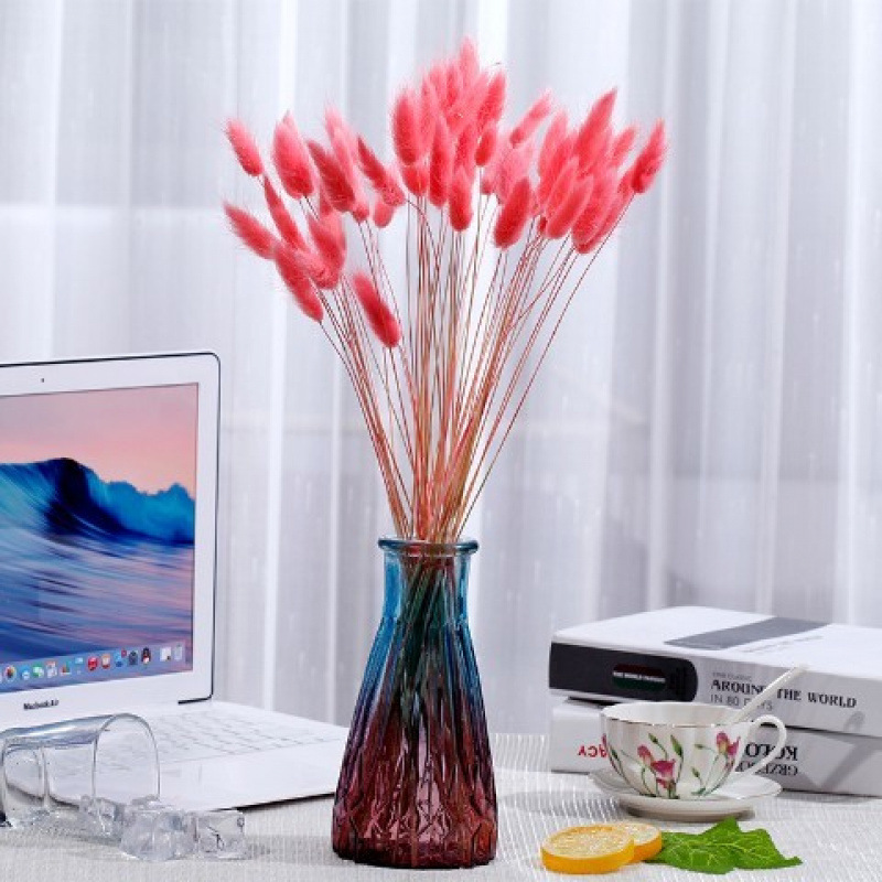 연한 노란색 분홍색 토끼 꼬리 - 꽃병 없음