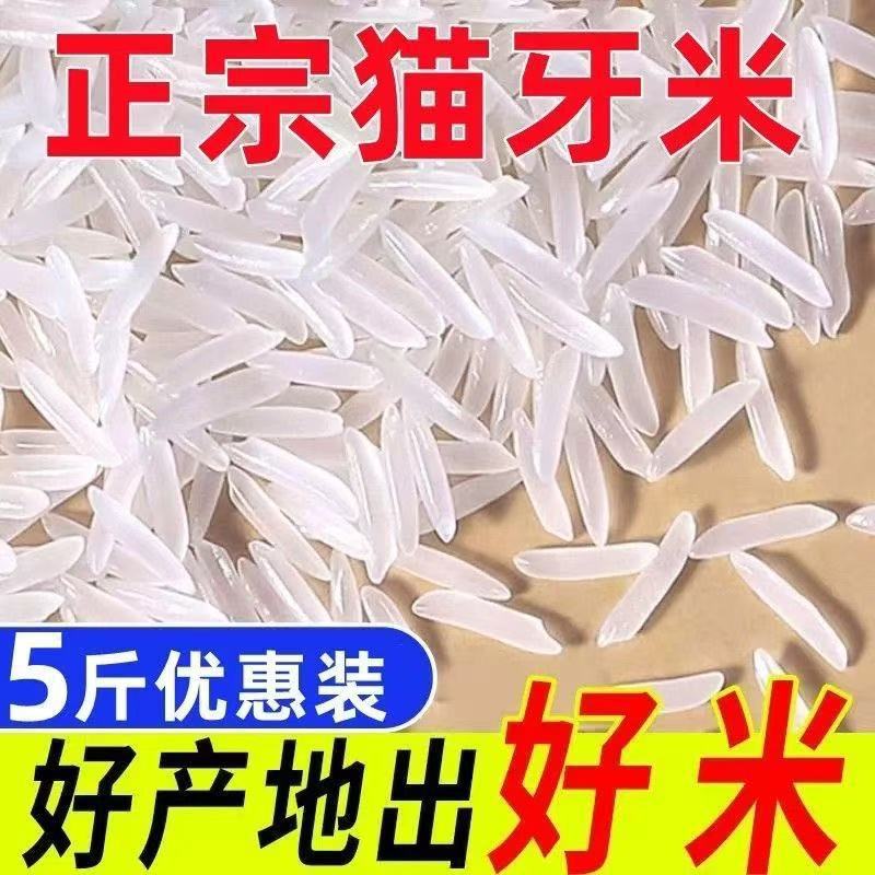 长粒香米猫牙米晚稻新米5斤丝苗米煲仔蛋炒饭籼米油粘新大米