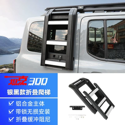 Tank 300 Wind Chaser Roof rack - tank-300-folding-ladder-silver-black