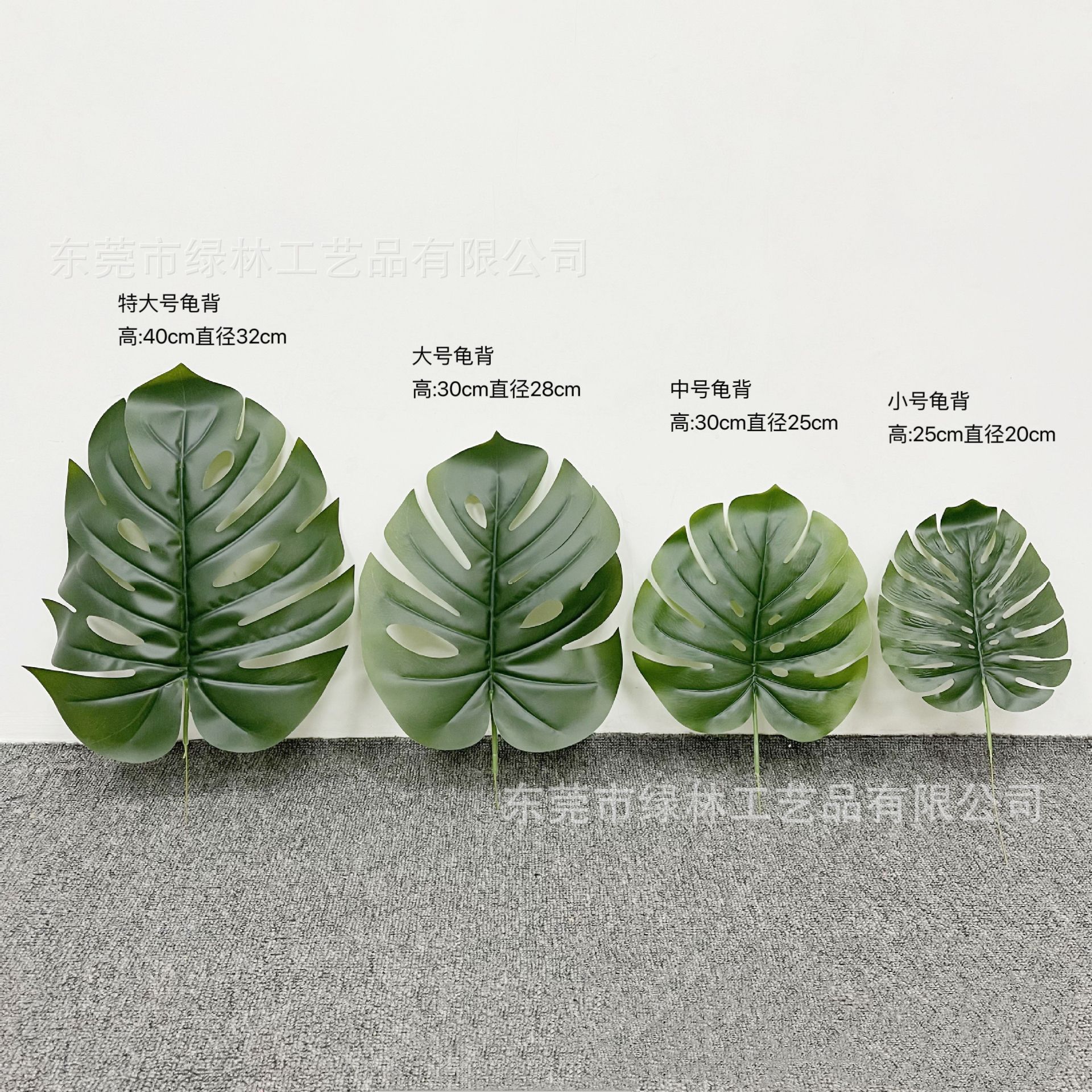 스몰 사이즈 거북이 뒤 잎