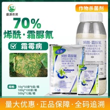 һ[Ƽ70%ϩ˪ϩ˪S˪ùrș