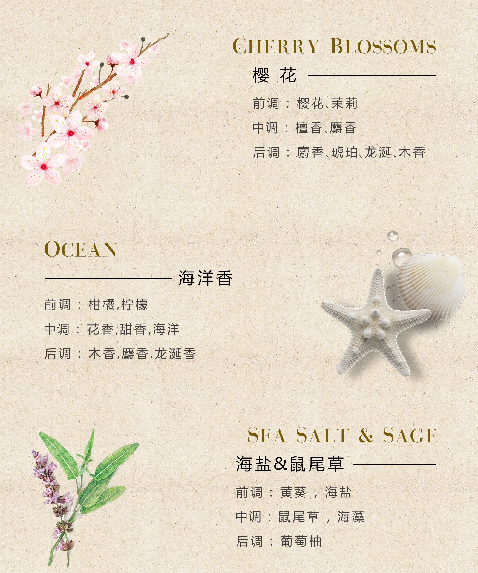 三色马口铁详情_10