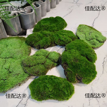 ̦�\���l��̦ƺֲ�qʯ�^��̦�K�ٽzƺ�b�ܛ�b�OӋ�쾰