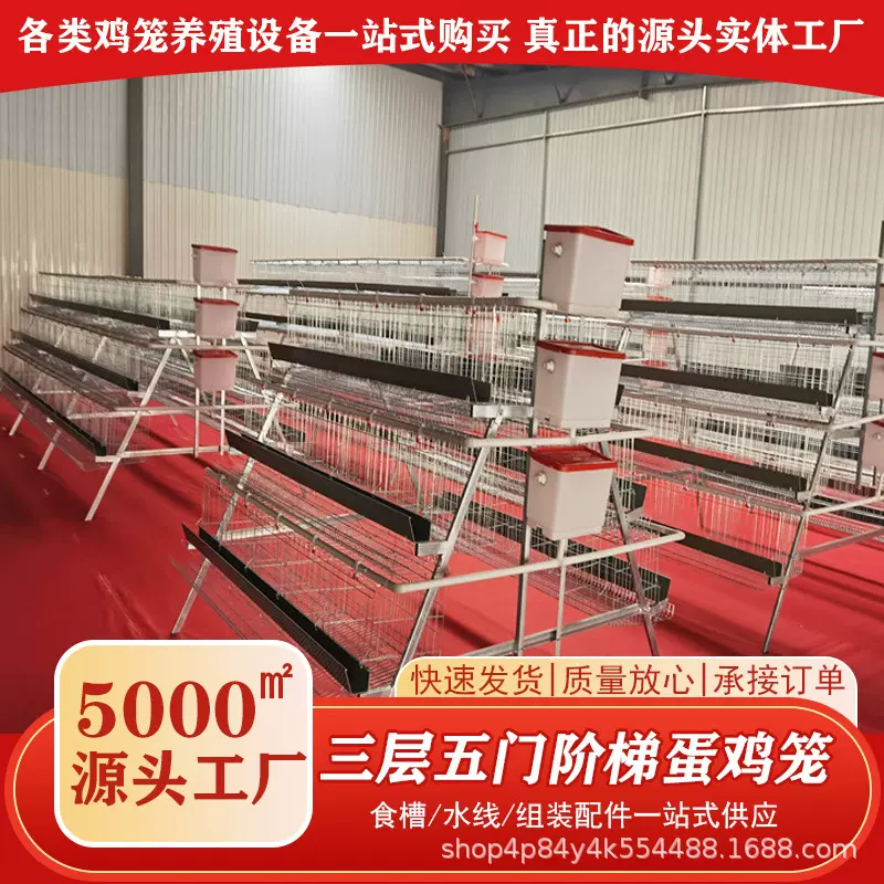 养殖场专用蛋鸡笼设备冷热镀锌多层阶梯式笼养鸡设备育雏笼养殖笼