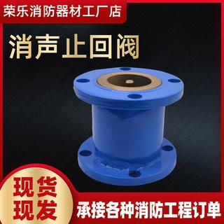 立式消声止回阀HC41X-16 单向法兰球墨铸铁DN100消音止回阀