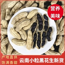 2025新鲜黑花生云南小粒富硒黑花生米带壳生的七彩花生原味种籽子