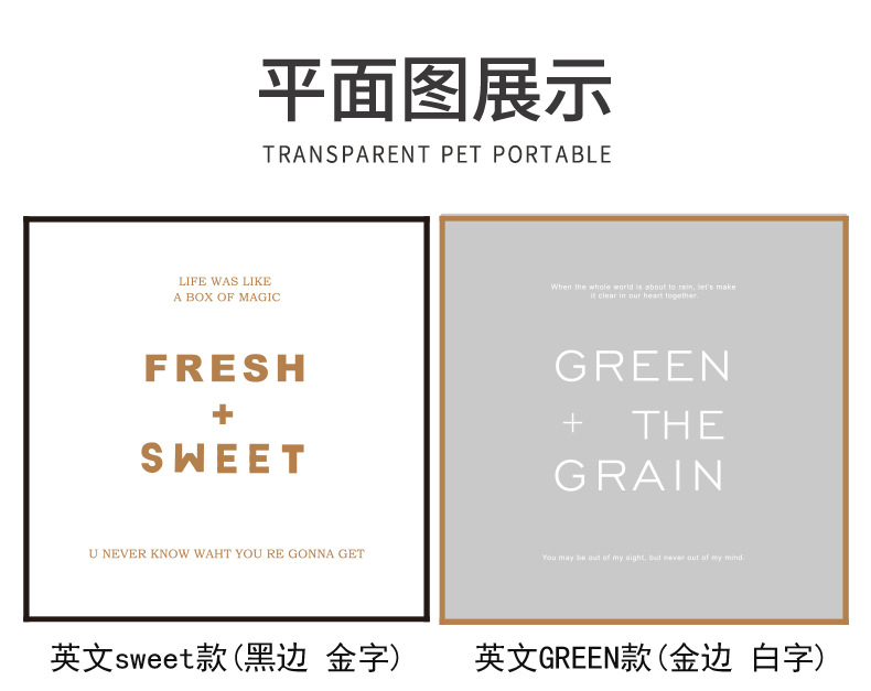 pet手提盒 (6).jpg