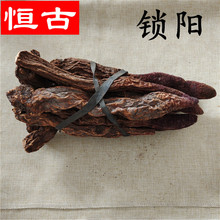 ��ș���i� ���l�iꖂ� �i�Ƭ���ɰ������ݾ��i�