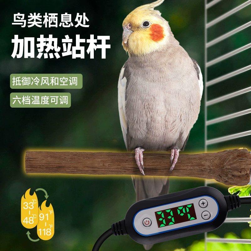Поставка домашних животных попугай птица Отопление изоляция станция полюс обогреватель попугай Отопление Xuan Feng Monk небольшая солнечная стойка