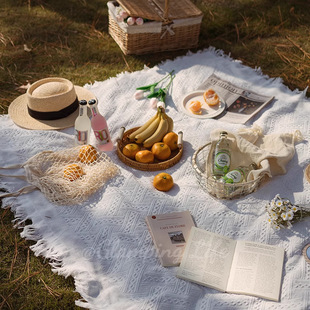 picnic mat moisture-proof mat ins style outdoor camping white blanket beach mat tent mat french seaside photo taking