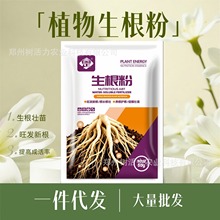 植物生根粉树木生根剂移栽生根液大树果树壮根剂抗病发根水批发