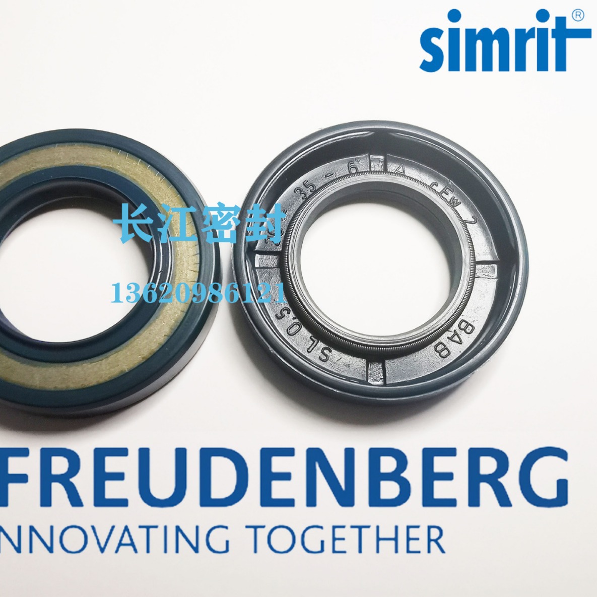 A CFW1  BABSL1 80-100-7  进口德国SIMRT骨架油封