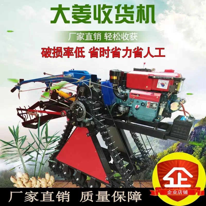 大姜葱收货机 手扶式小型柴油大葱收获机 手扶自走式大葱收货设备